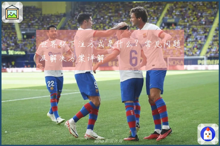 世界杯下注方式是什么？常见问题及解决方案详解