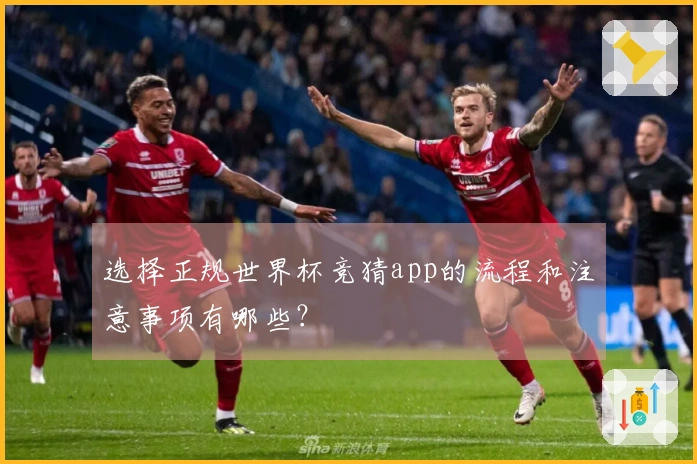 选择正规世界杯竞猜app的流程和注意事项有哪些？