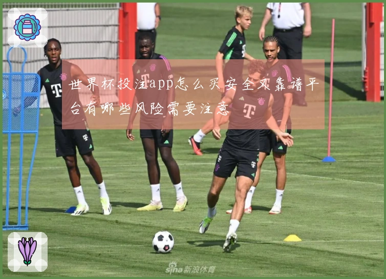 世界杯投注app怎么买安全又靠谱平台有哪些风险需要注意