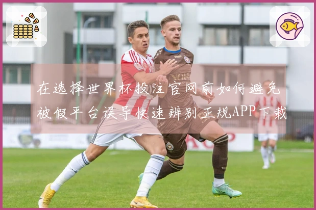 在选择世界杯投注官网前如何避免被假平台误导快速辨别正规APP下载注意事项