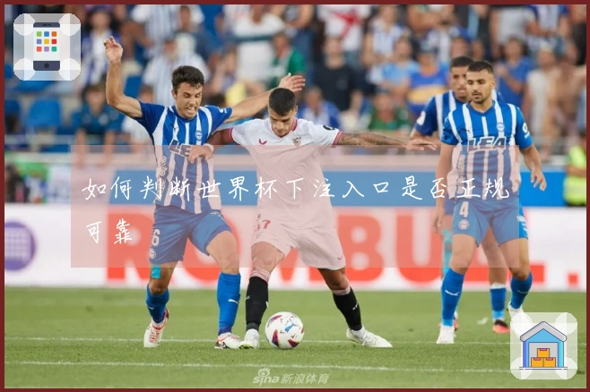 如何判断世界杯下注入口是否正规可靠