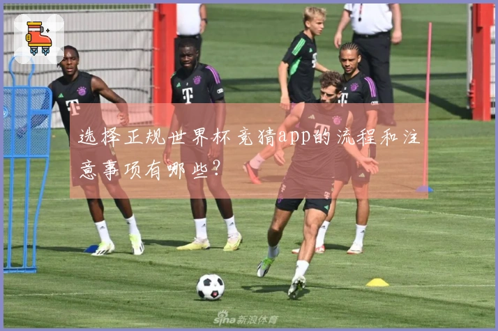 选择正规世界杯竞猜app的流程和注意事项有哪些？