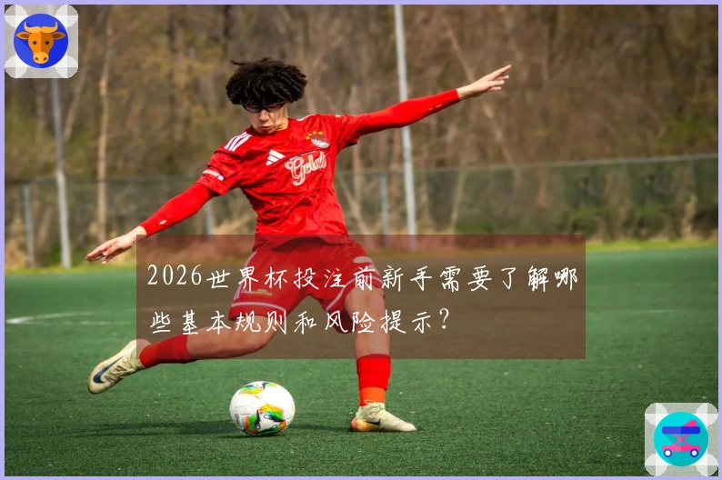 2026世界杯投注前新手需要了解哪些基本规则和风险提示？